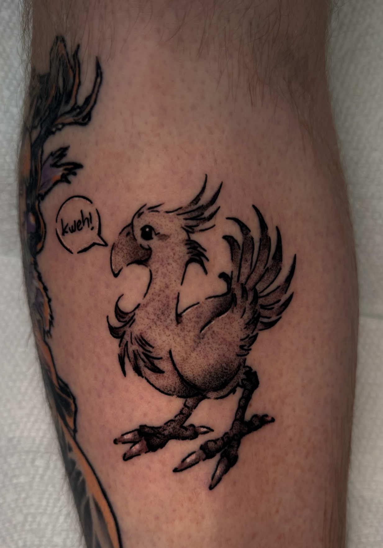 @Delaney Rose Ink