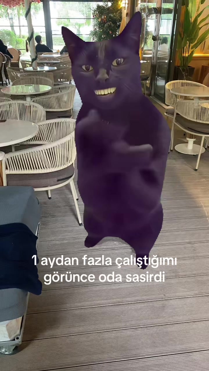 @zey