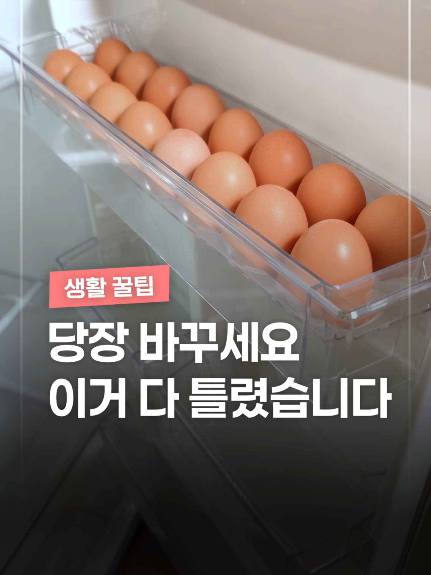 @짤컷