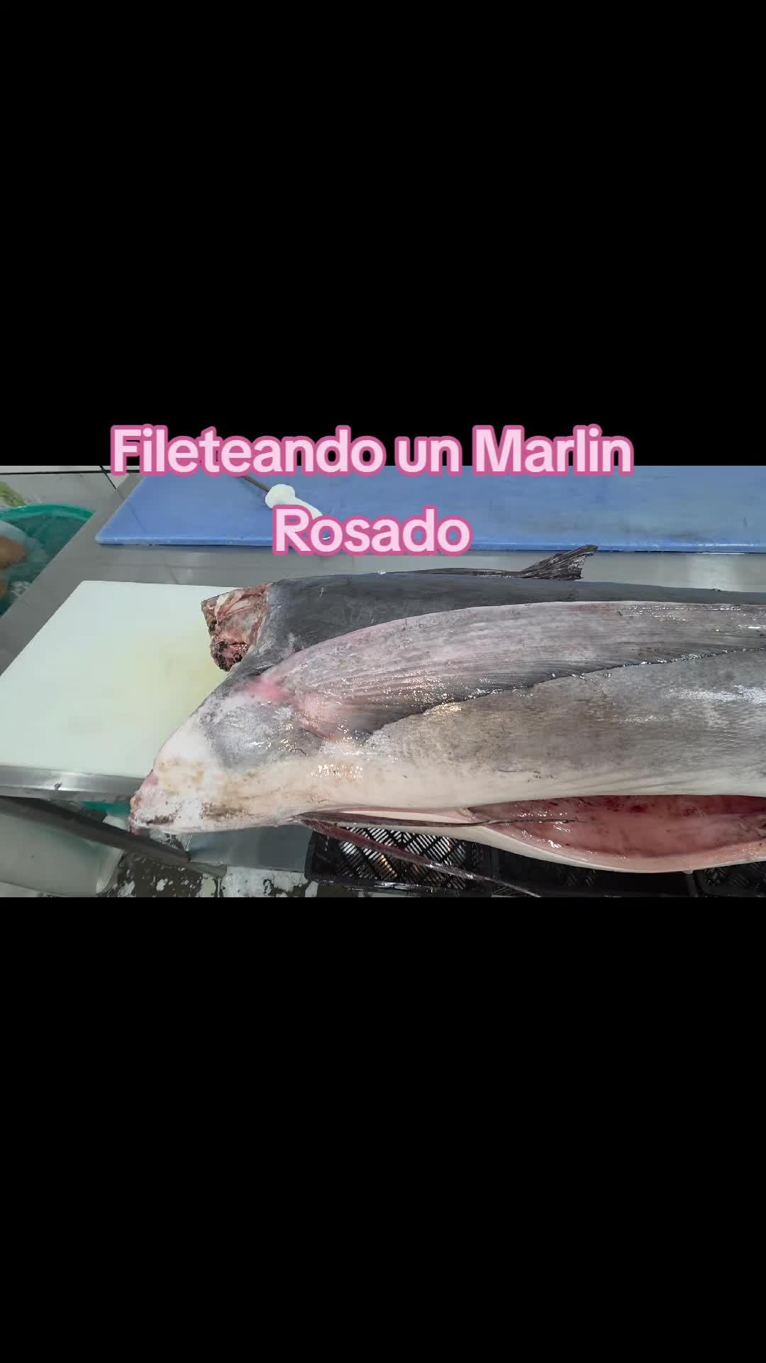 @Fish Store
