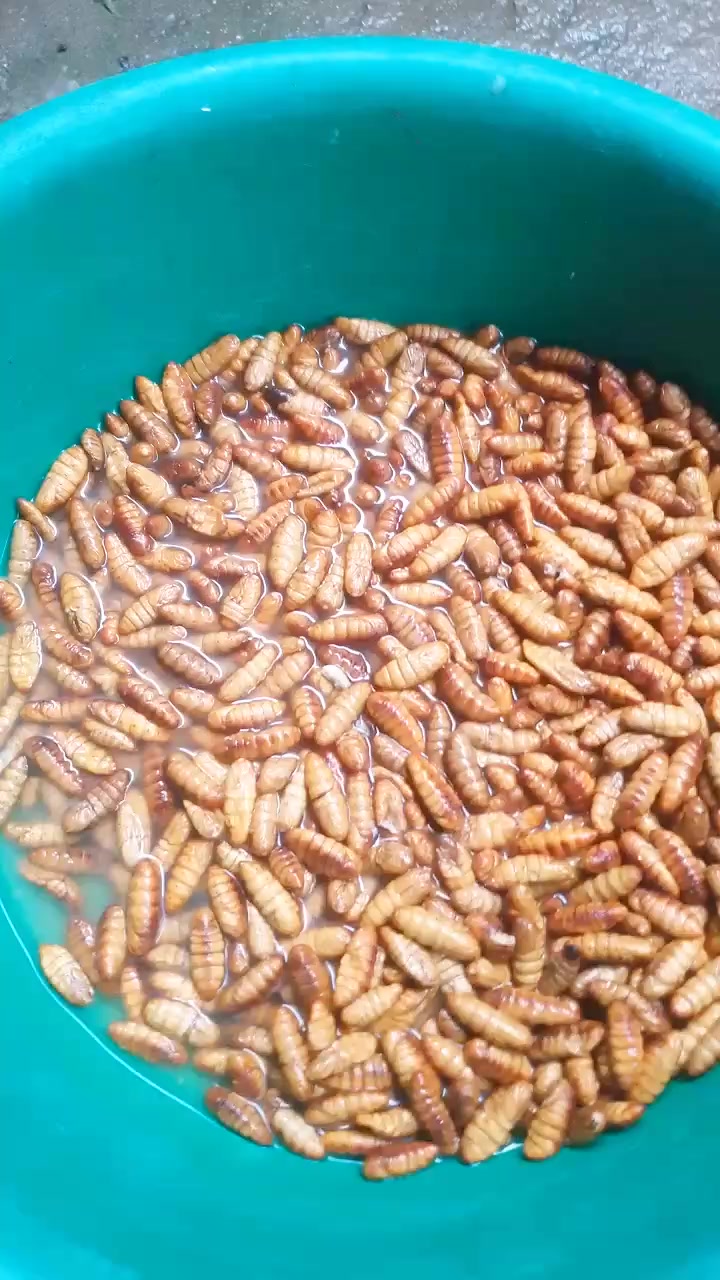 @thương c&ocirc;ng sức khỏe