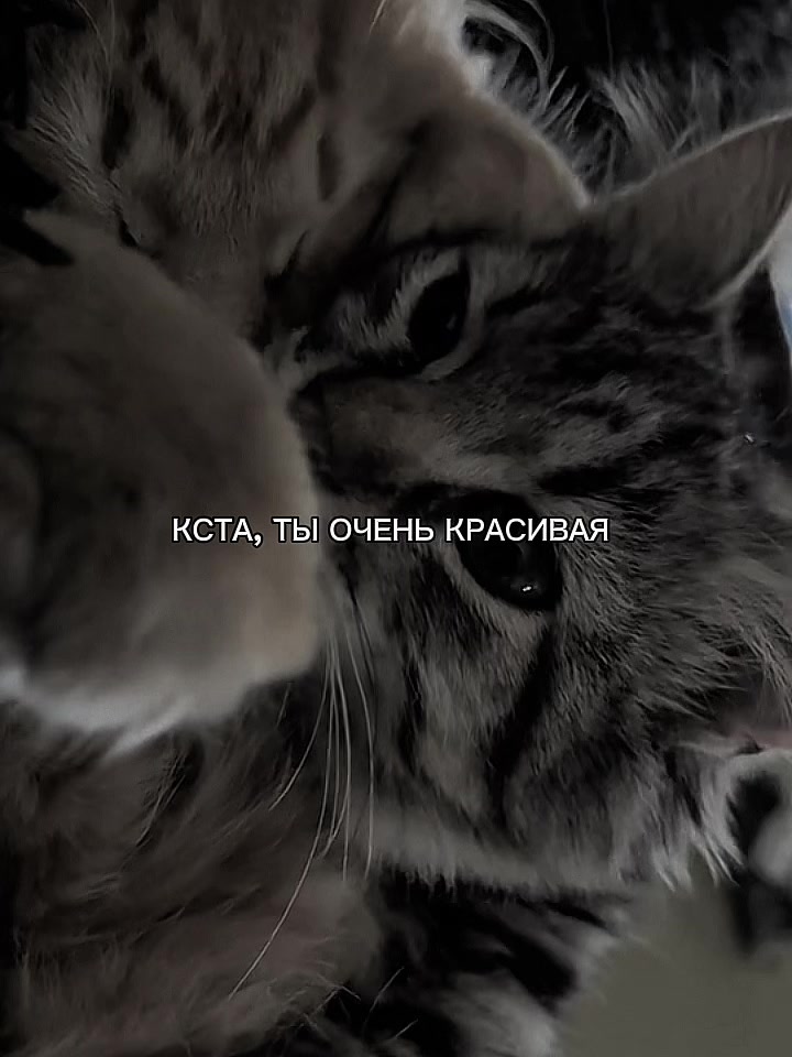 @ХХИКА
