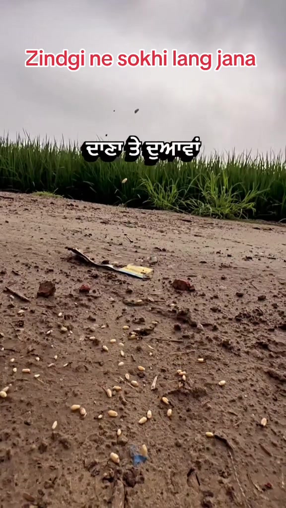 @Baidwan_jodhvir singh
