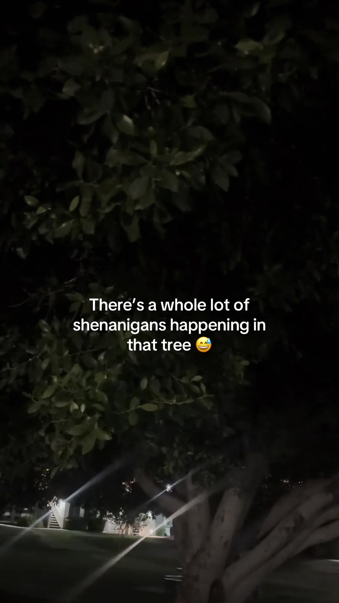 @Liz