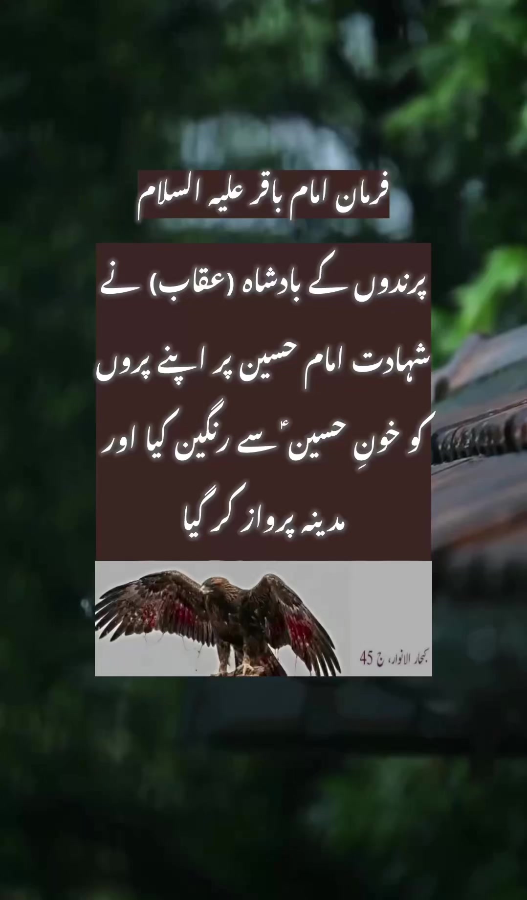 @dr.farahbokhari