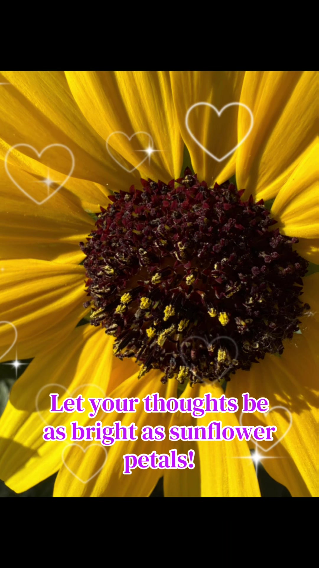 @Bloom Therapy
