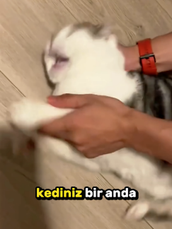 @pzquinniyahzhurii