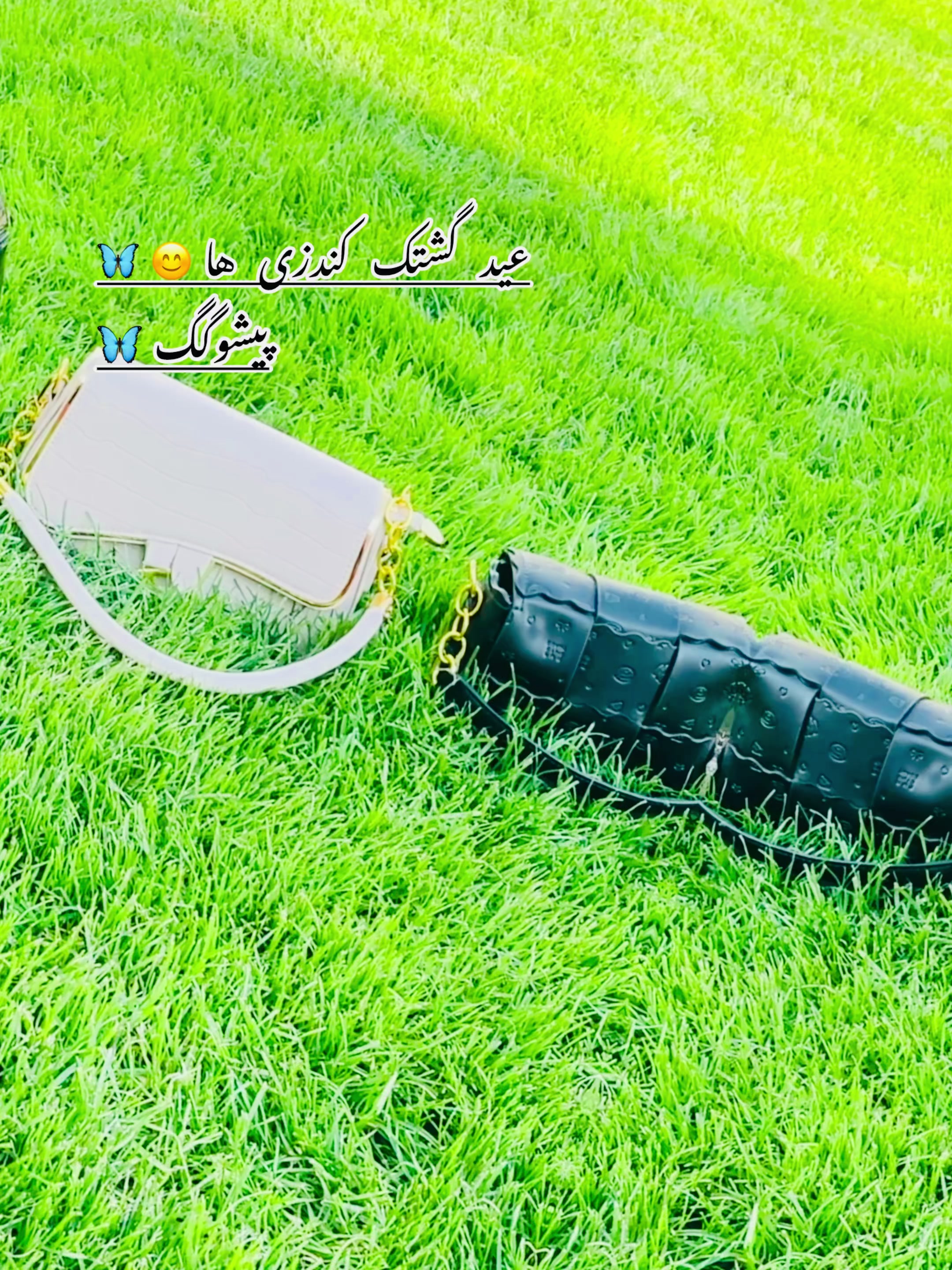 @🎀پیشو🌝گگ🎀