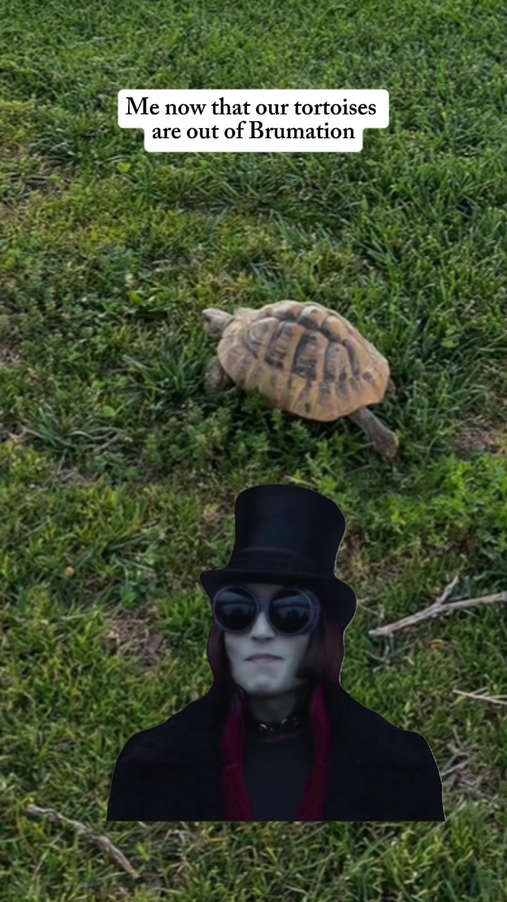 @Lil_desert_hobo