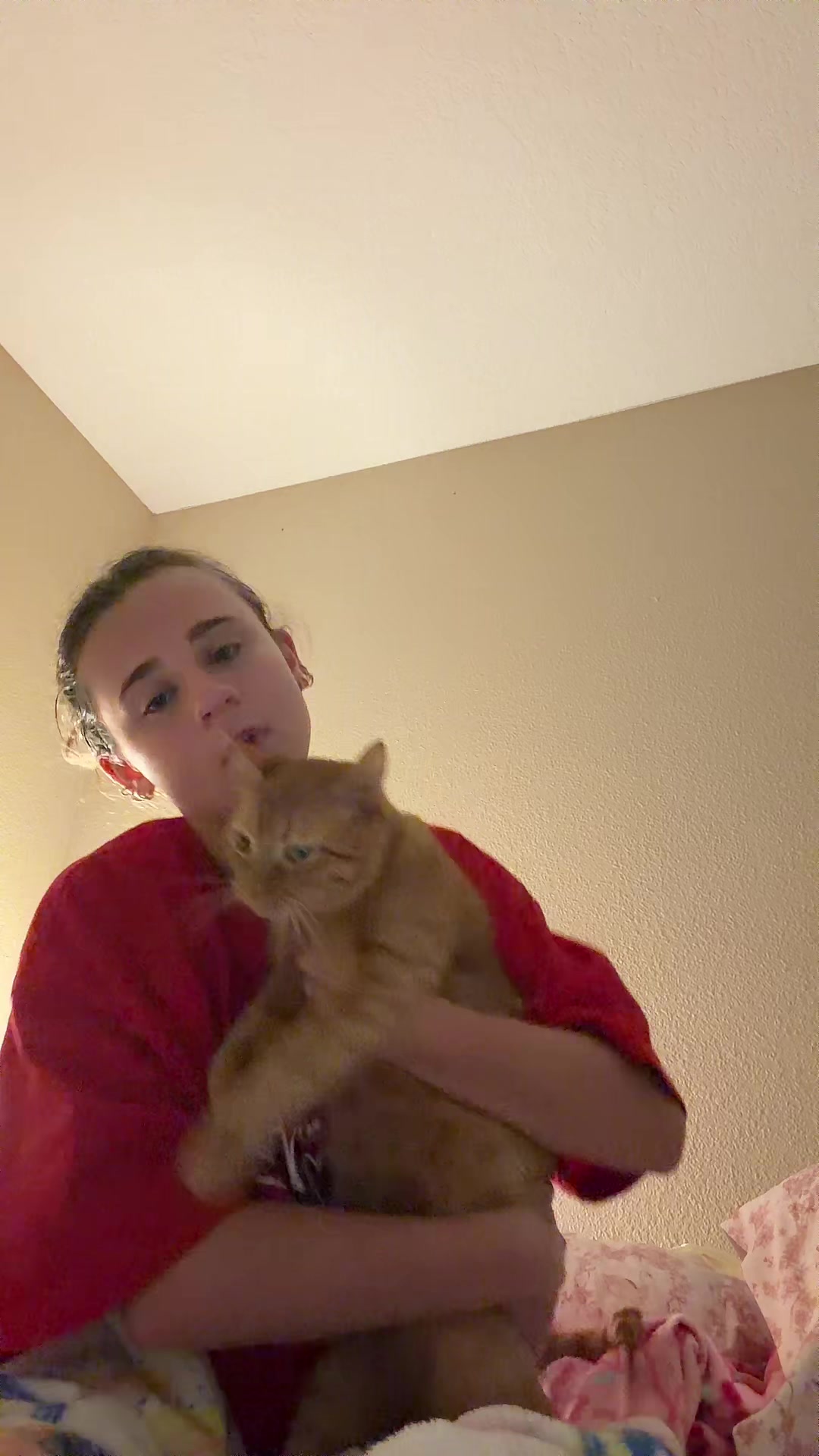 @🐈