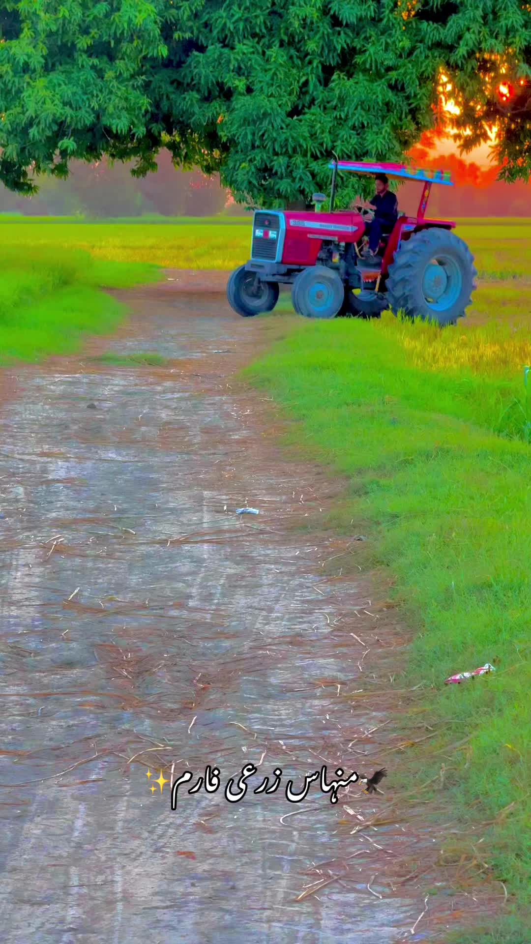 @ÜZÄÌŘ_ RÂJPÜT🦅