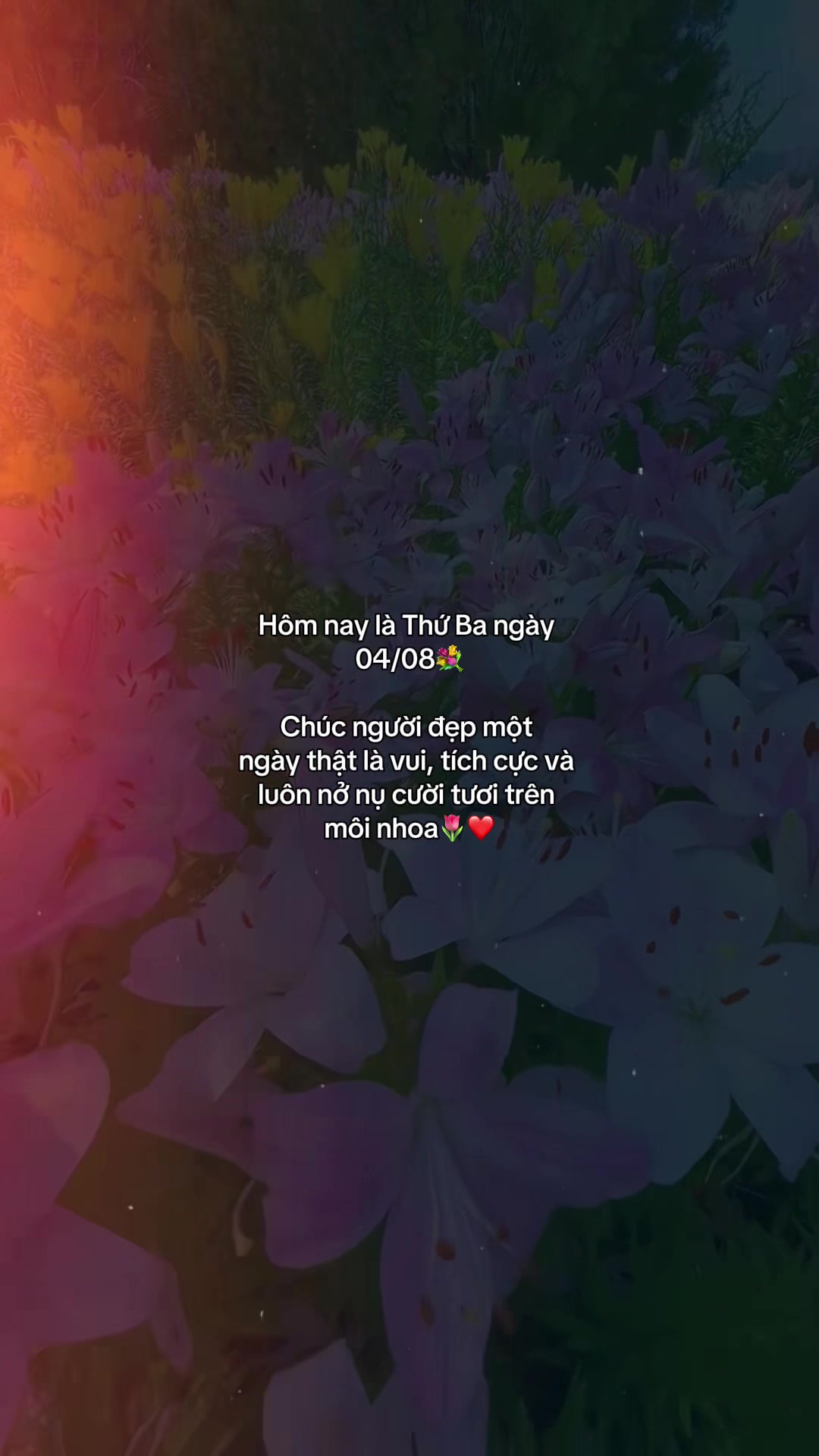 @ᥫᩣѕυy мộт cнúт౨ৎ