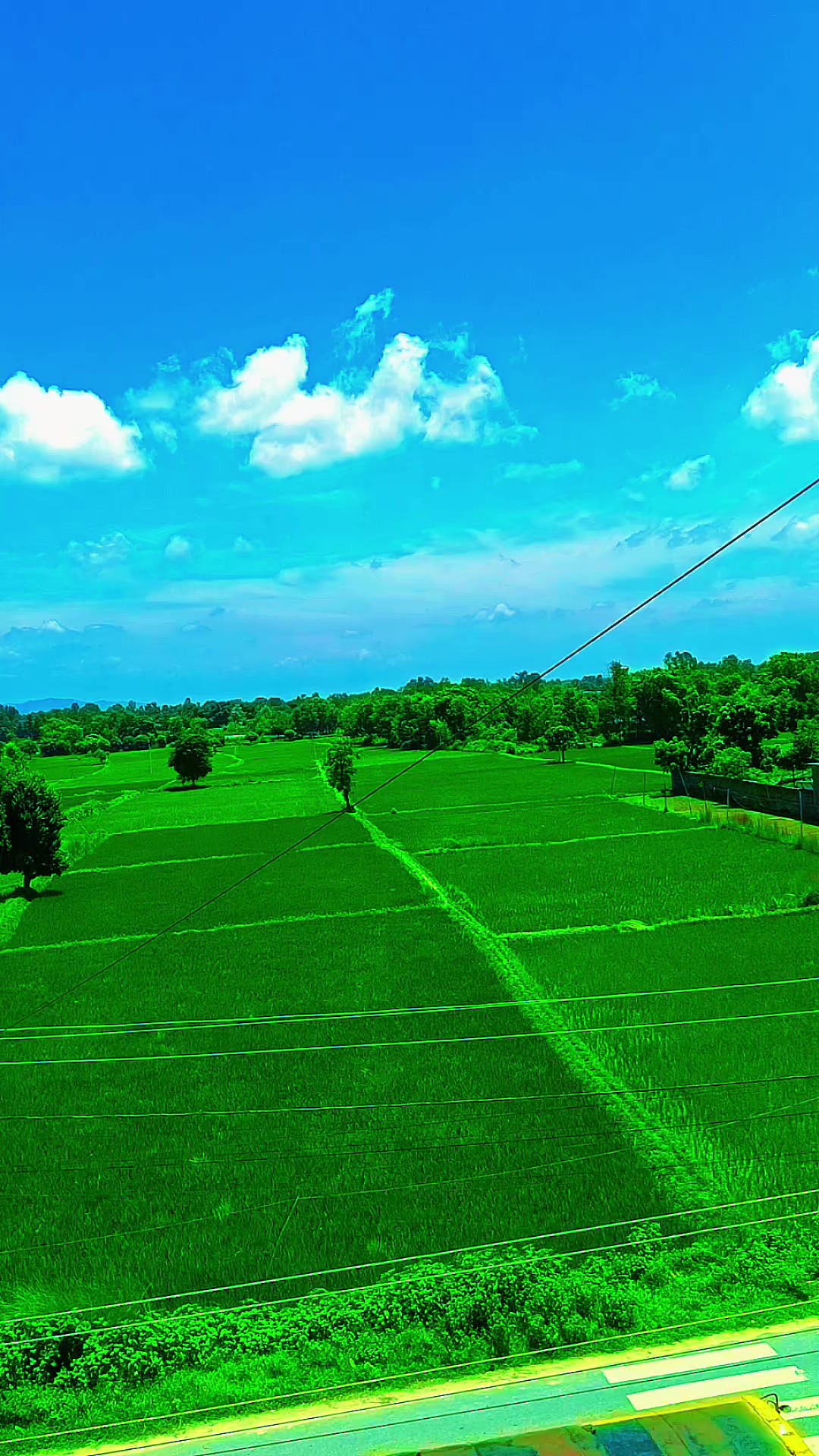 @family_tiktok