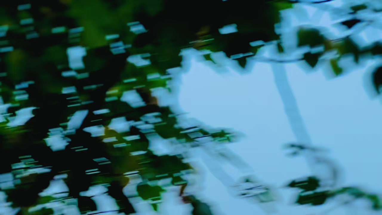 @𝐂𝐇-𝐌𝐔𝐑𝐓𝐀𝐙𝐀 🔥🚩