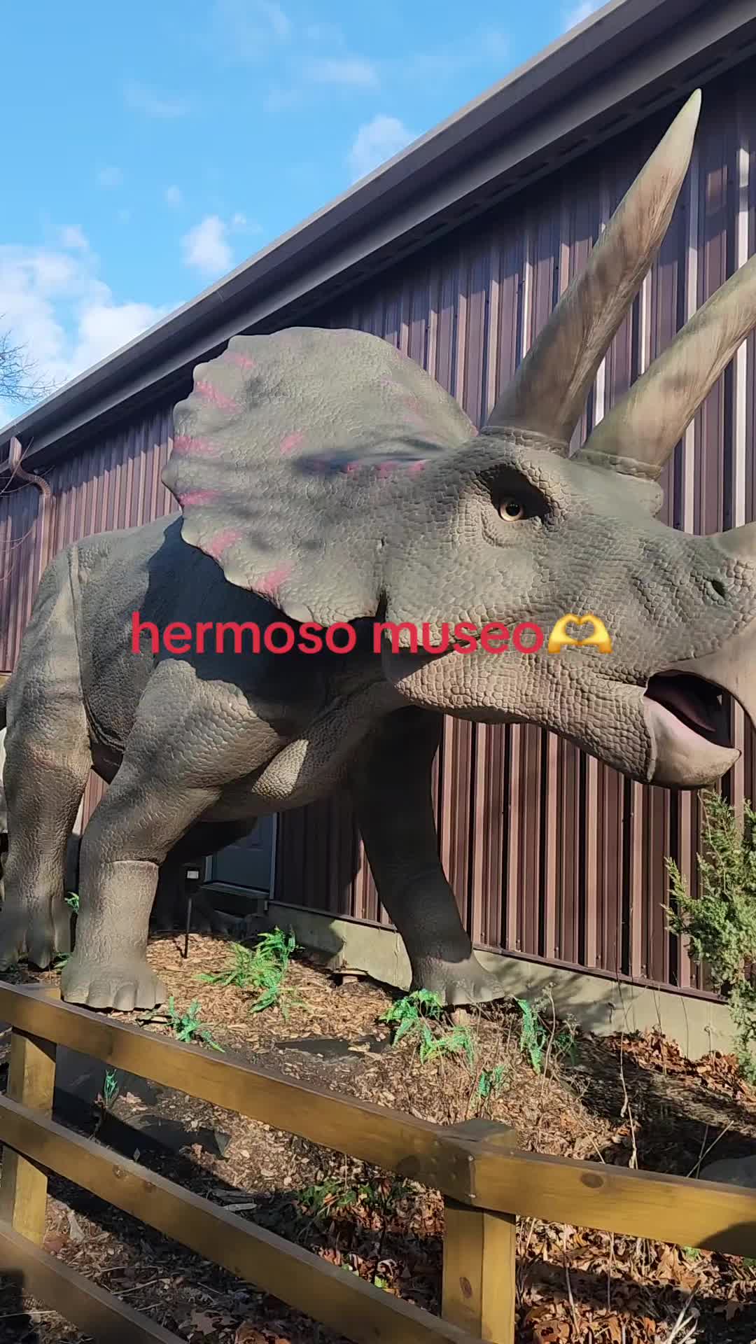 @karol Alas
