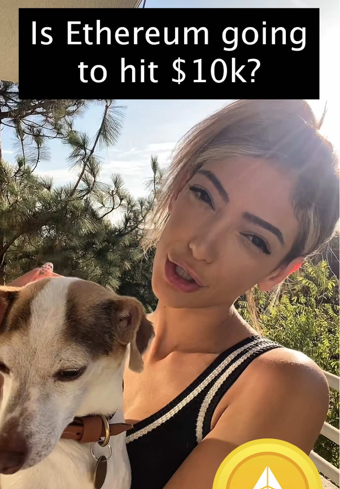 @Daily Crypto News W/Tina ✨✍️