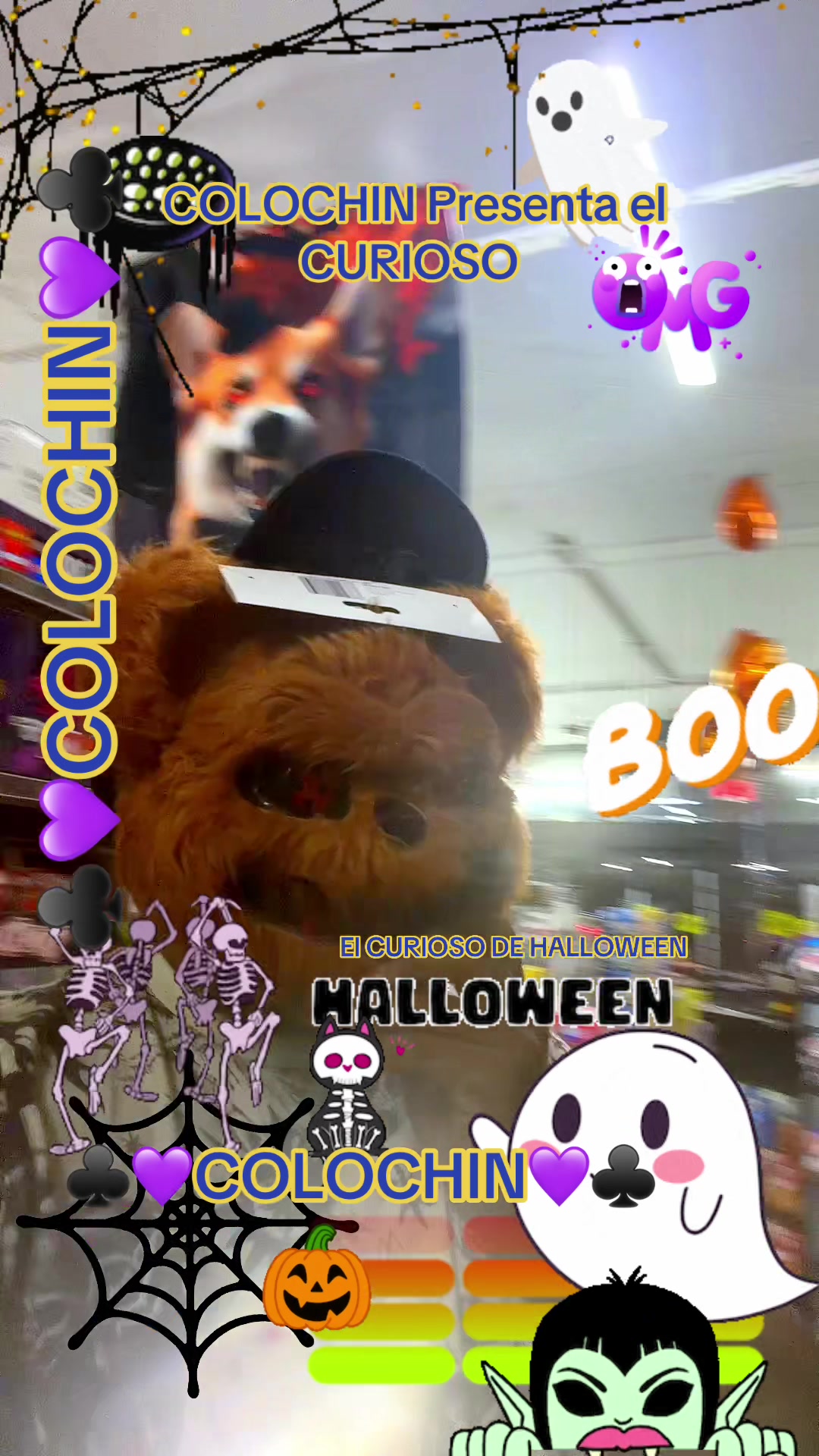 @𓆩💜𓆪𝑪𝚘ไ𝚘c𝐡ꜞ𝔫𓆩💜𓆪
