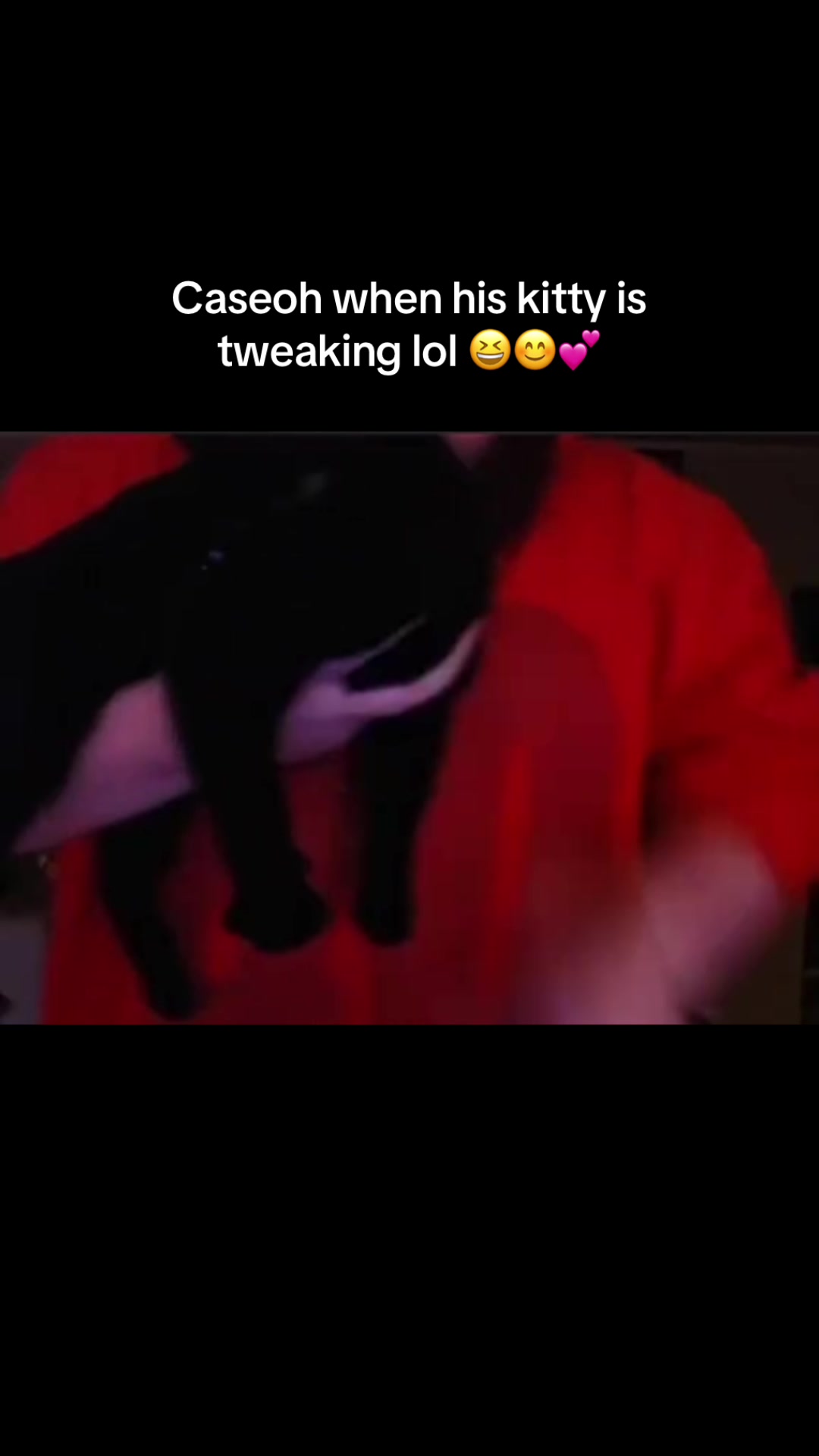 @Emokage 💜