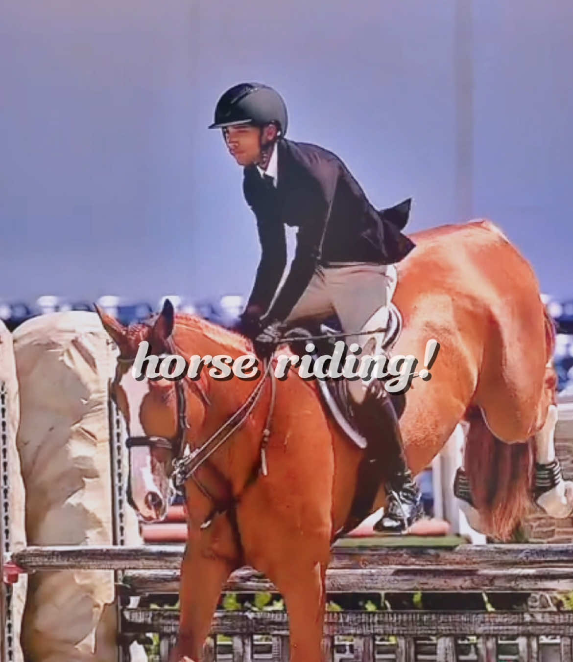 @{𐂃EquestrianEdits.X0X0𐂃}