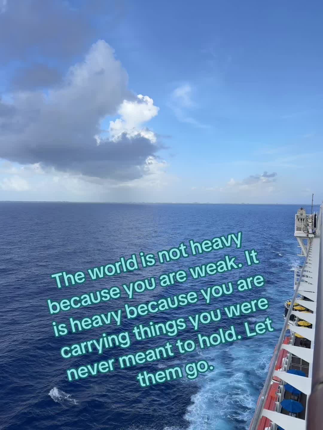 @sharkkyy