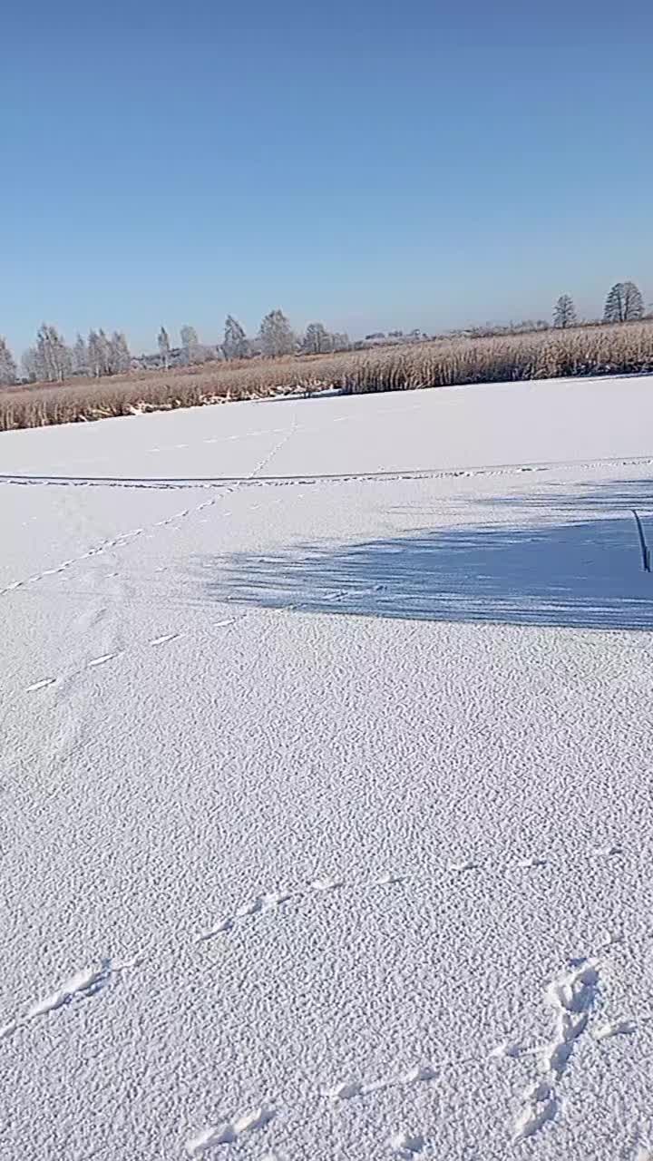 @Дима Шуляк