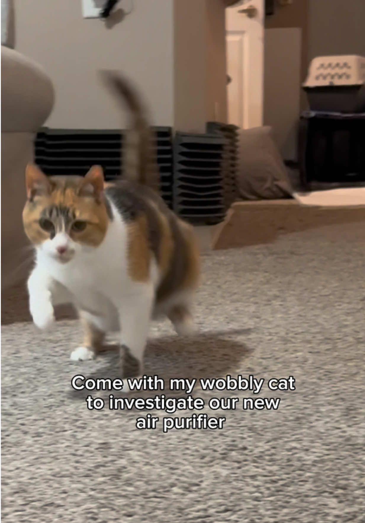 @Ada