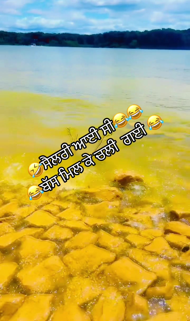 @Ekamjit singh