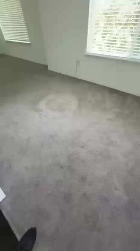 @elite home interiors llc