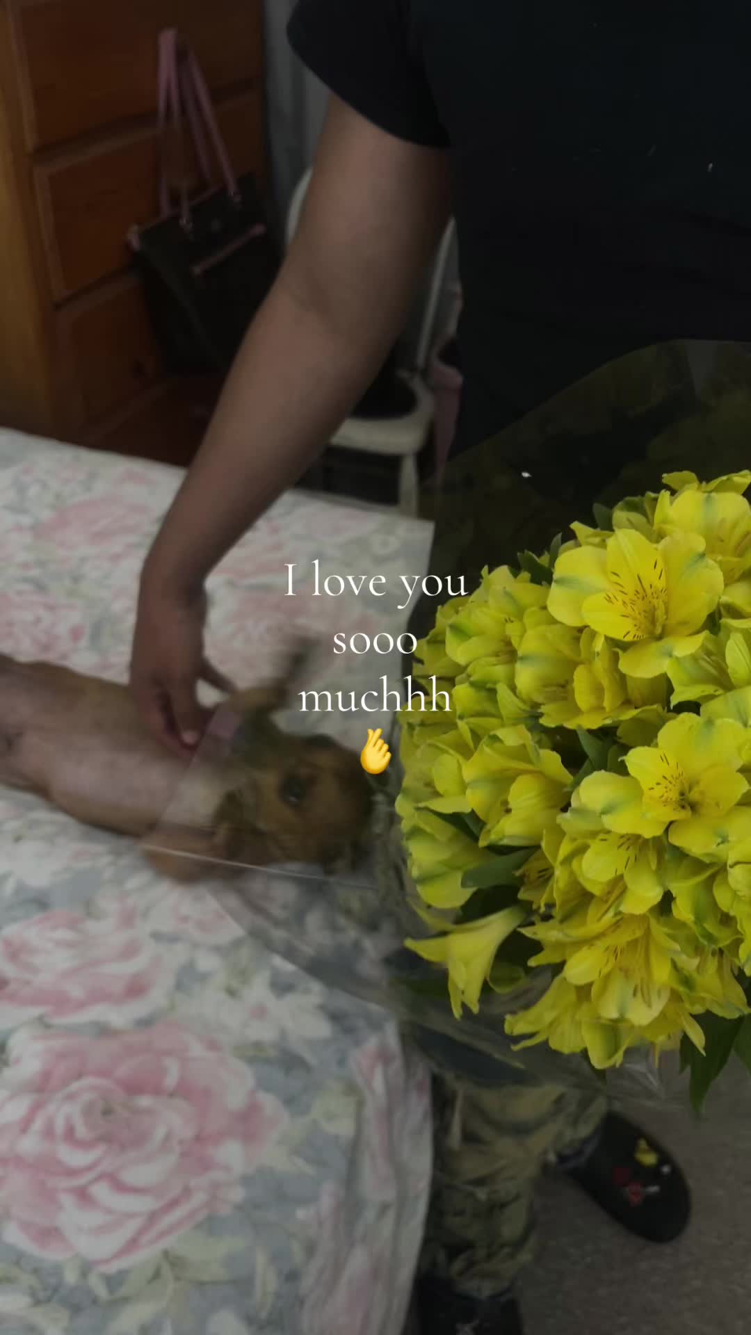 @Spamzz.user