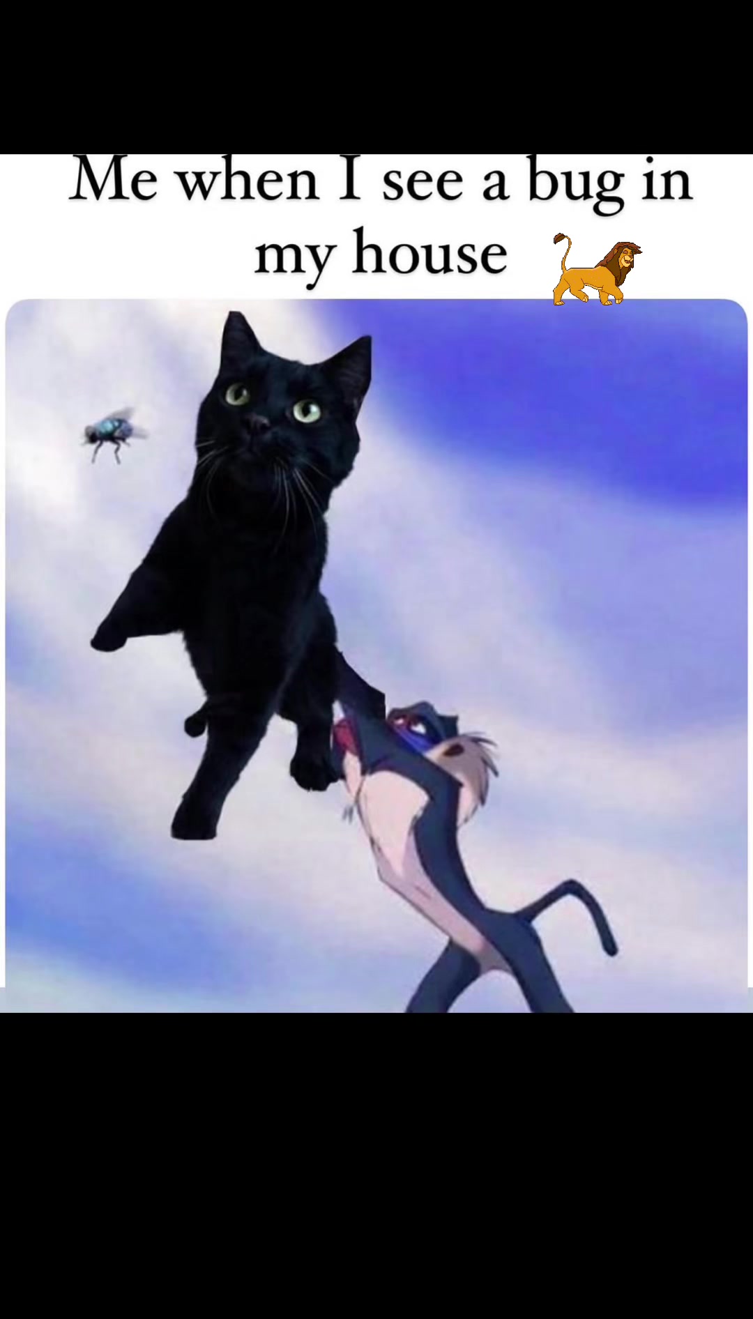 @Purrrrfect Moments
