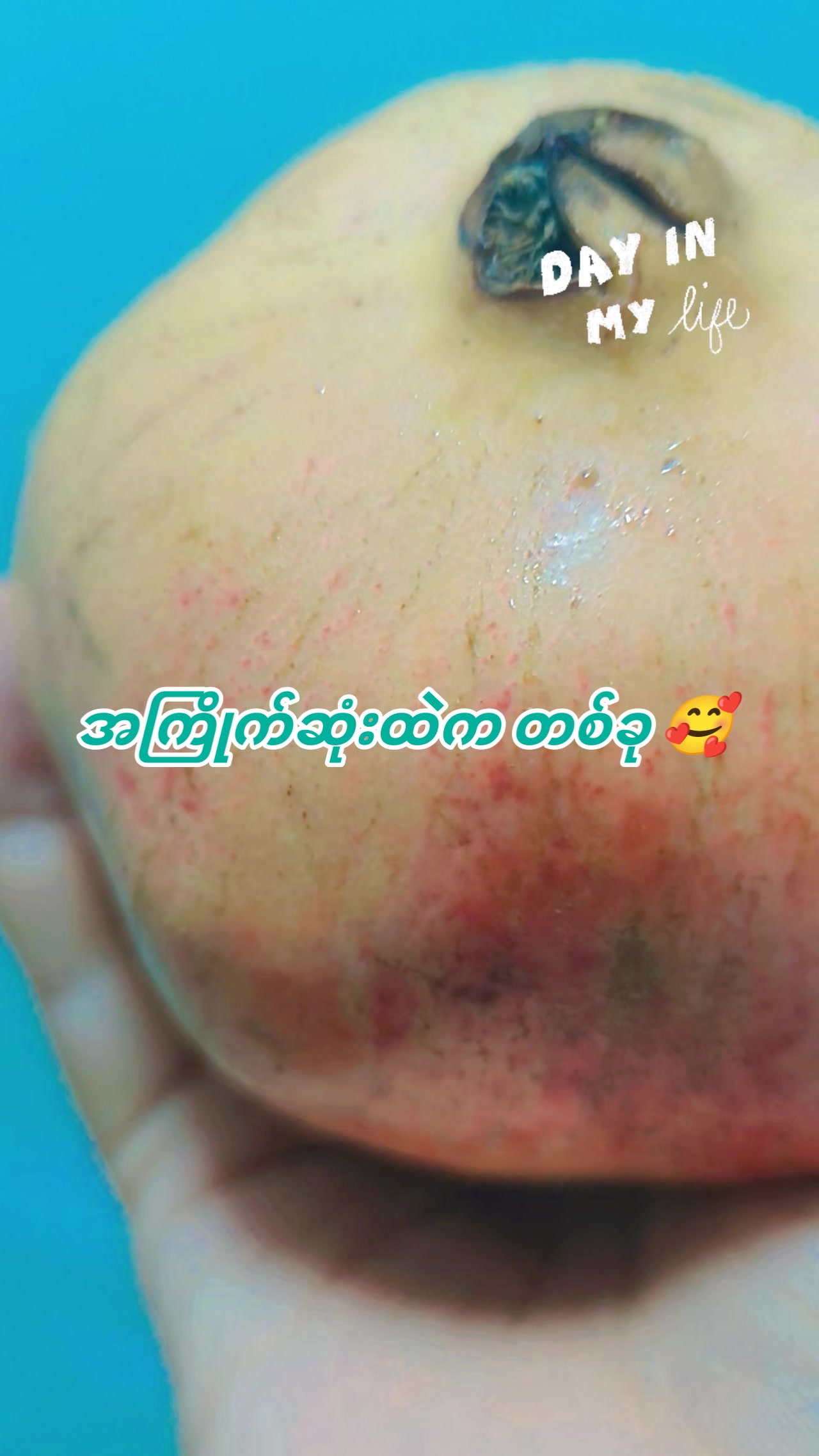 @SuNaingAung (Floral By Su)
