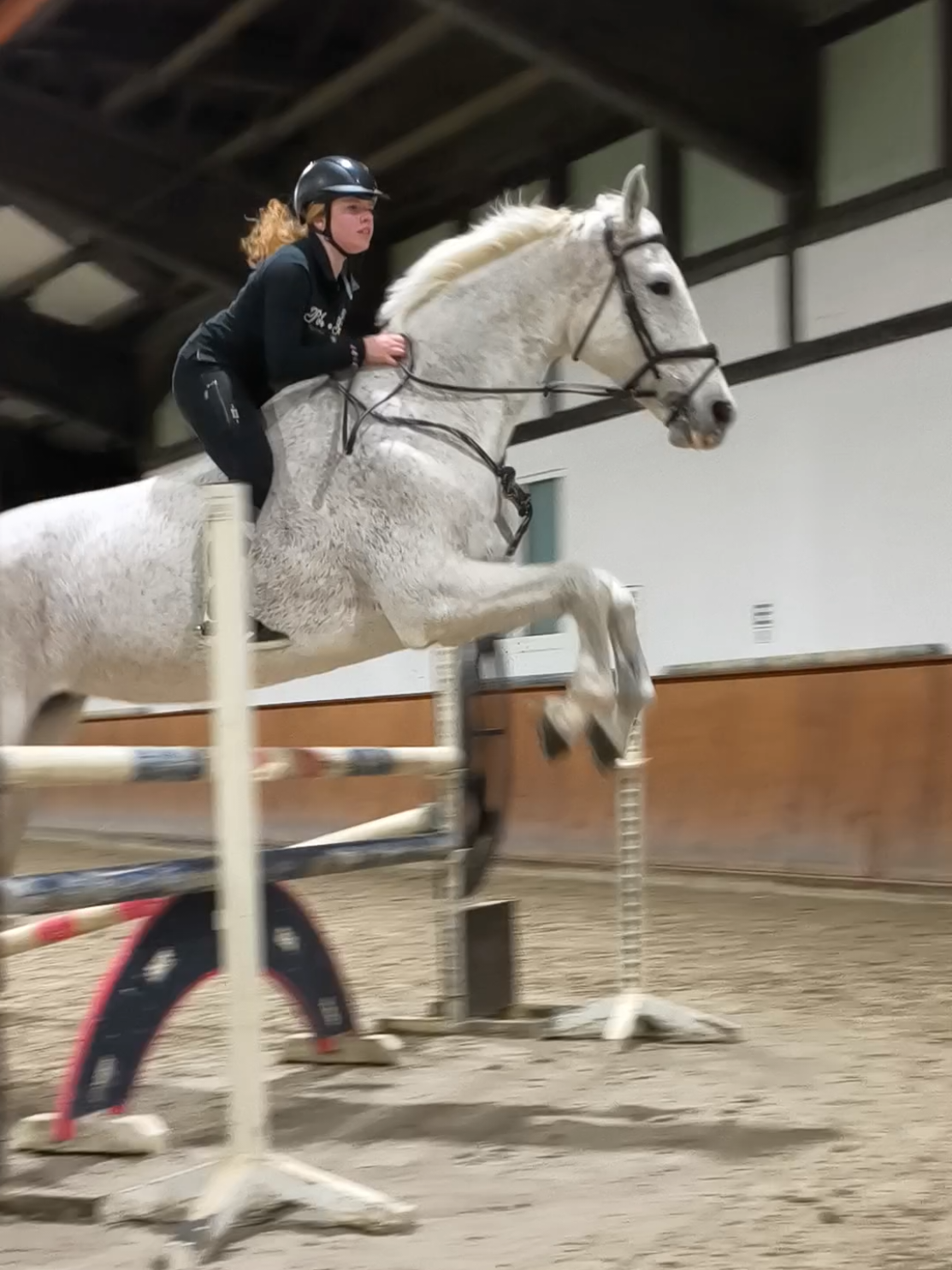@Spring"Pony"Casha