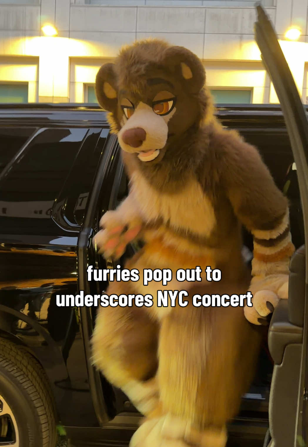 @Boof
