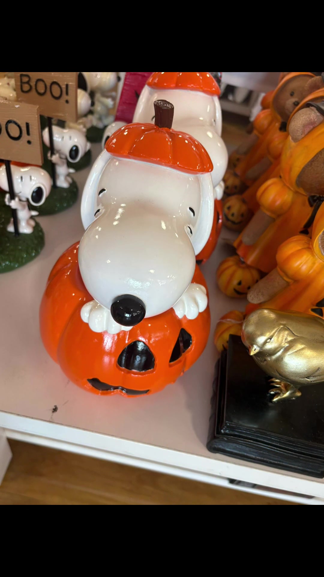 @🎀🧸🩷Boobear🎀🧸🩷