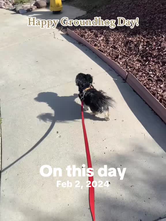 @Katrin - HappyPawsPantry