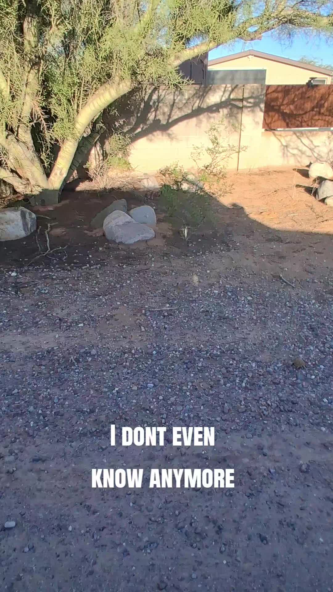 @DesertQueen🌵🐓