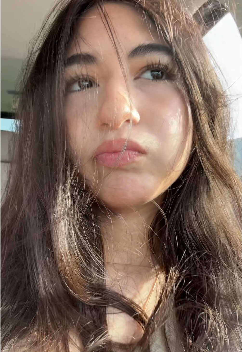 @dahlia 😼