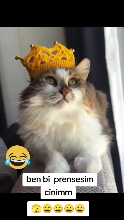 @gamzeli kızı 😊 minnoşlari