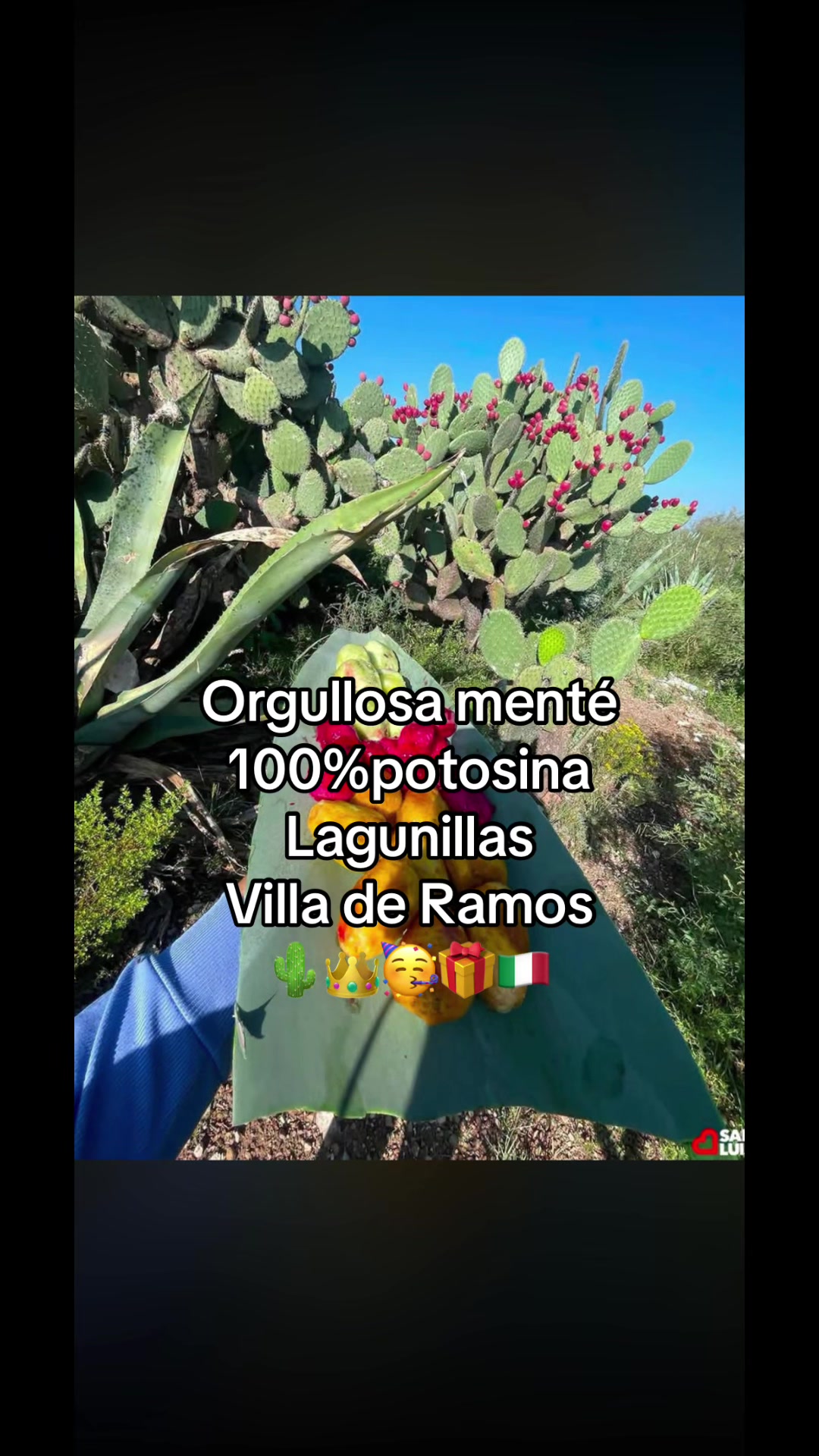 @ROSALVA-S.L.P🌵