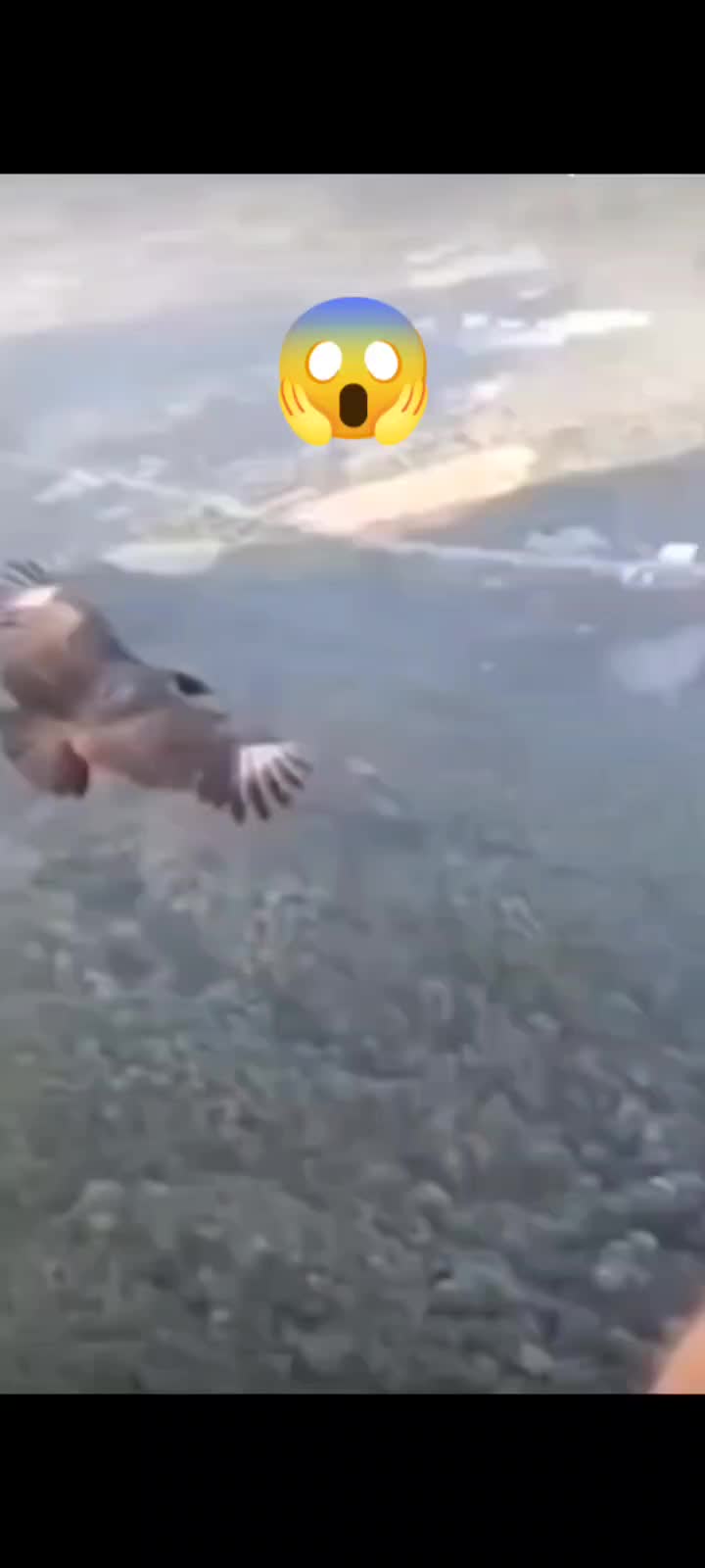 @SuperWarriorz🦅