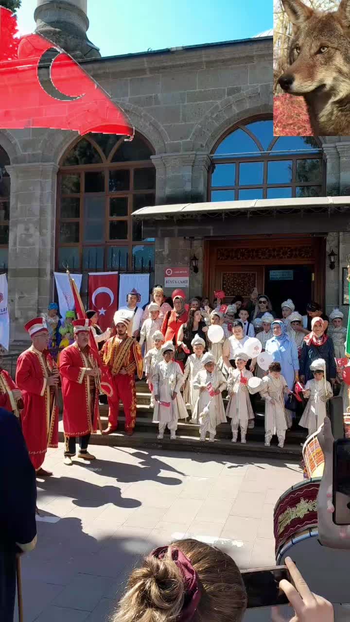 @🇹🇷🦈 Yavuz Ayık