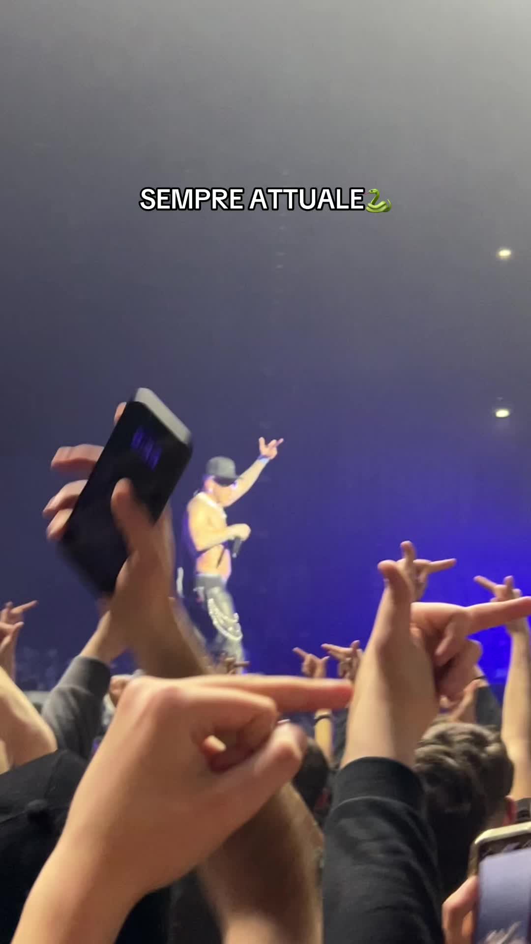 @mammatrap