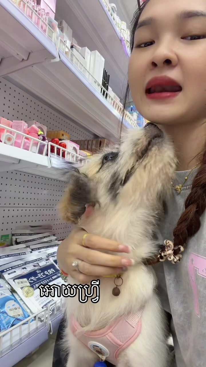 @๐ฎ๐๐๐ ๐๐๐๐