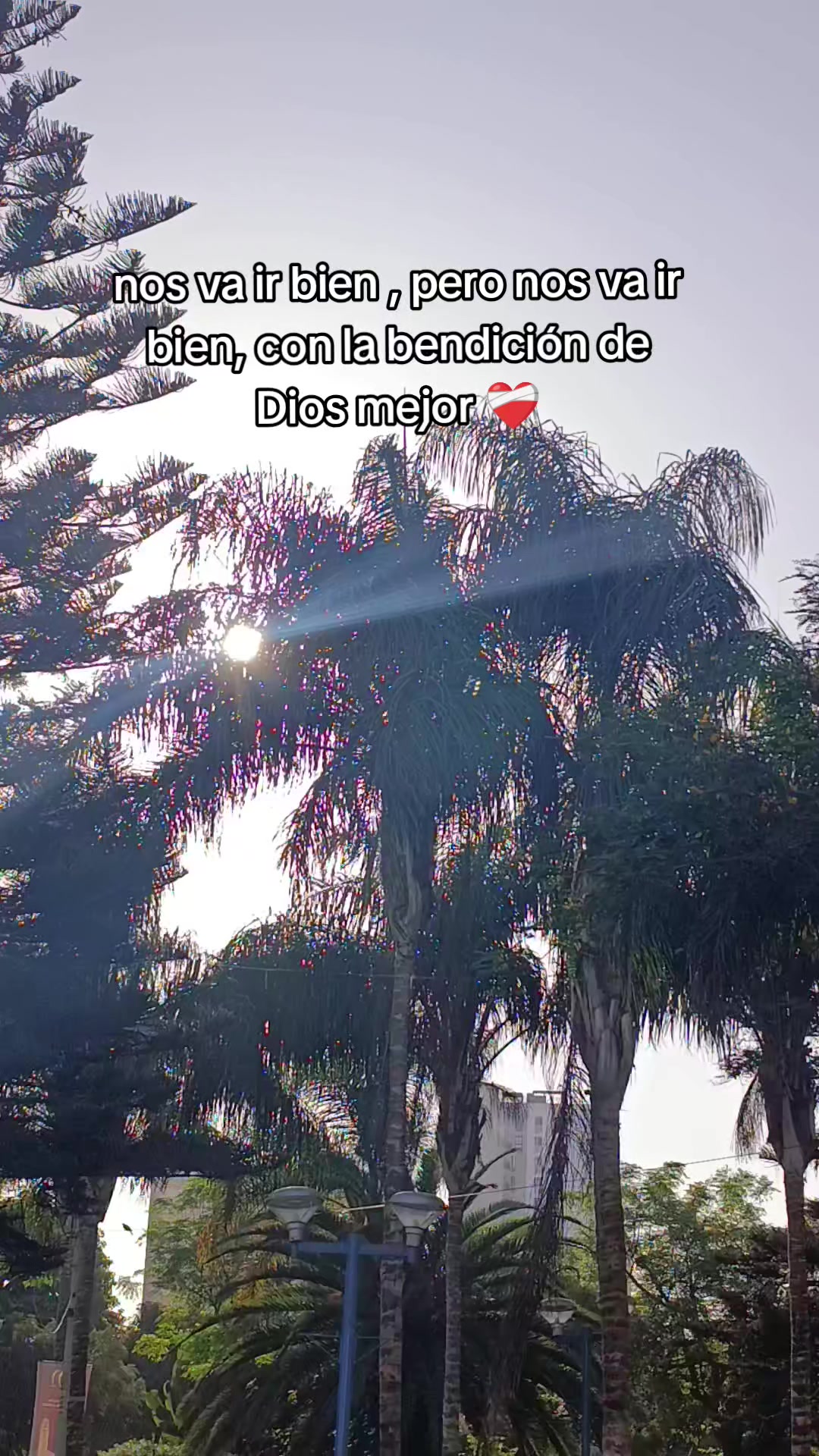 @Lesly Campos Díaz