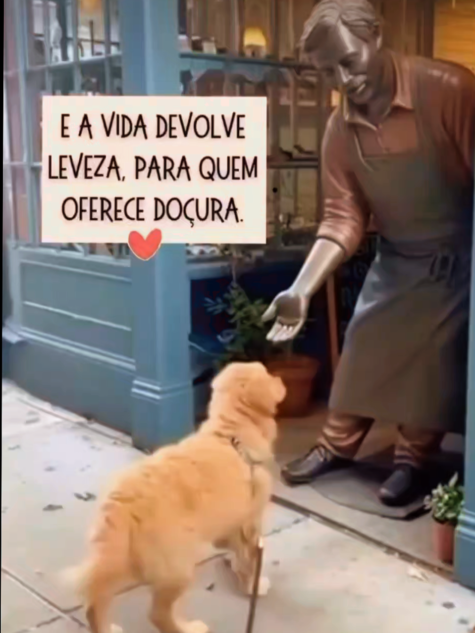 @Cyberpets