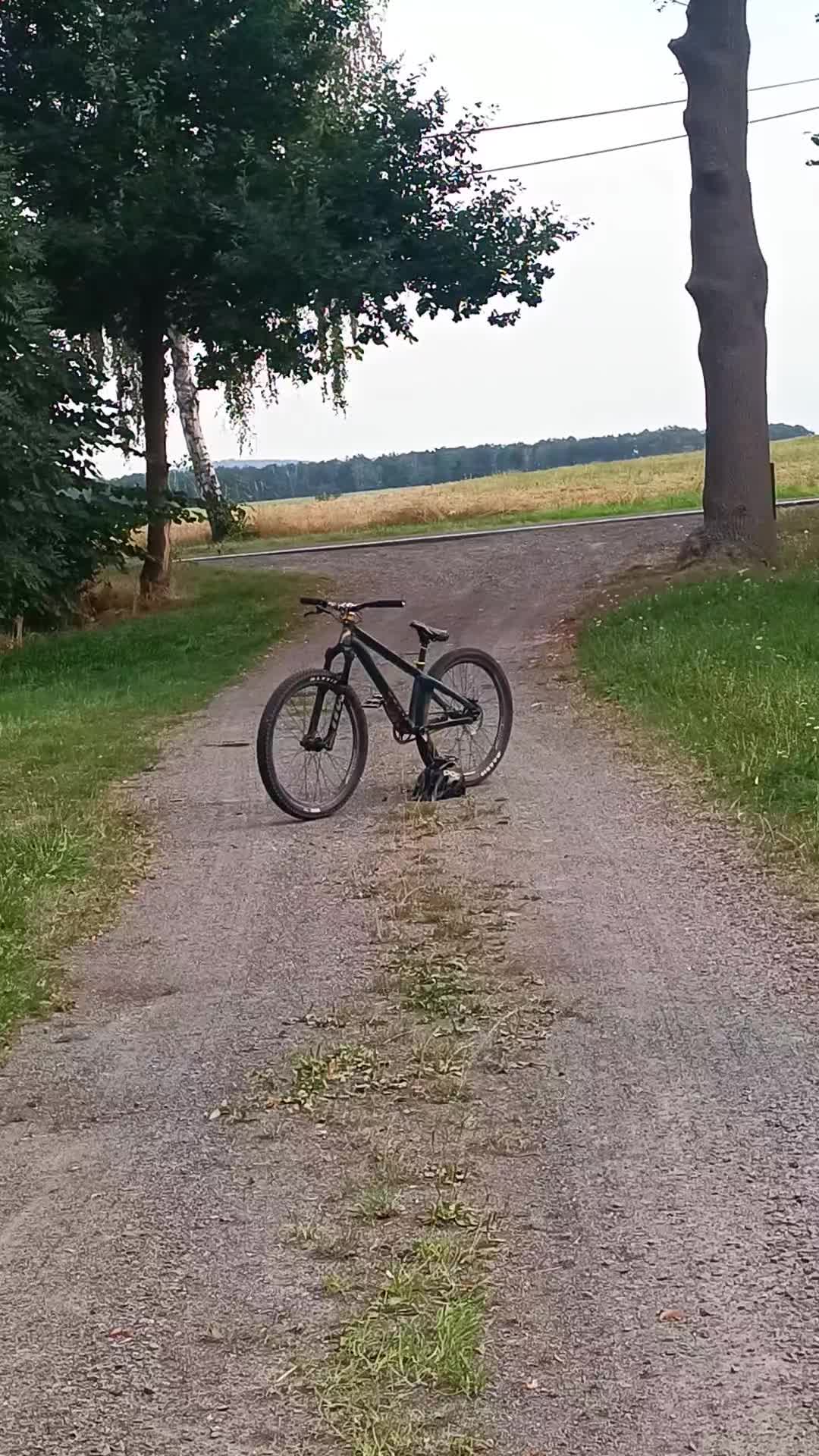 @🌲Freeride_Finn🌲