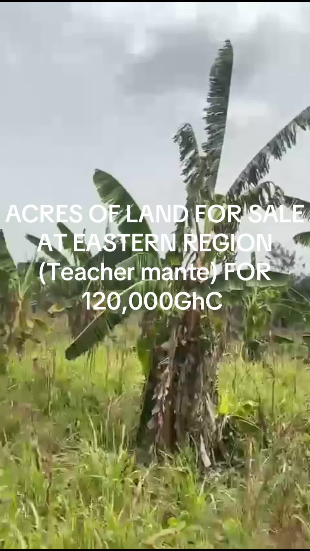 @Teacher Mante lands for sale