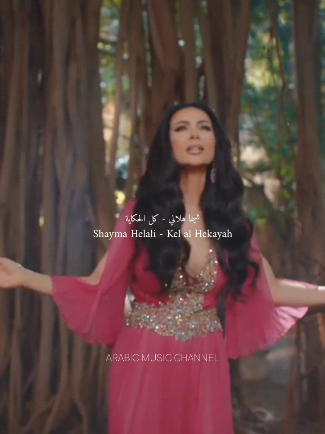 @Arabic Music Channel