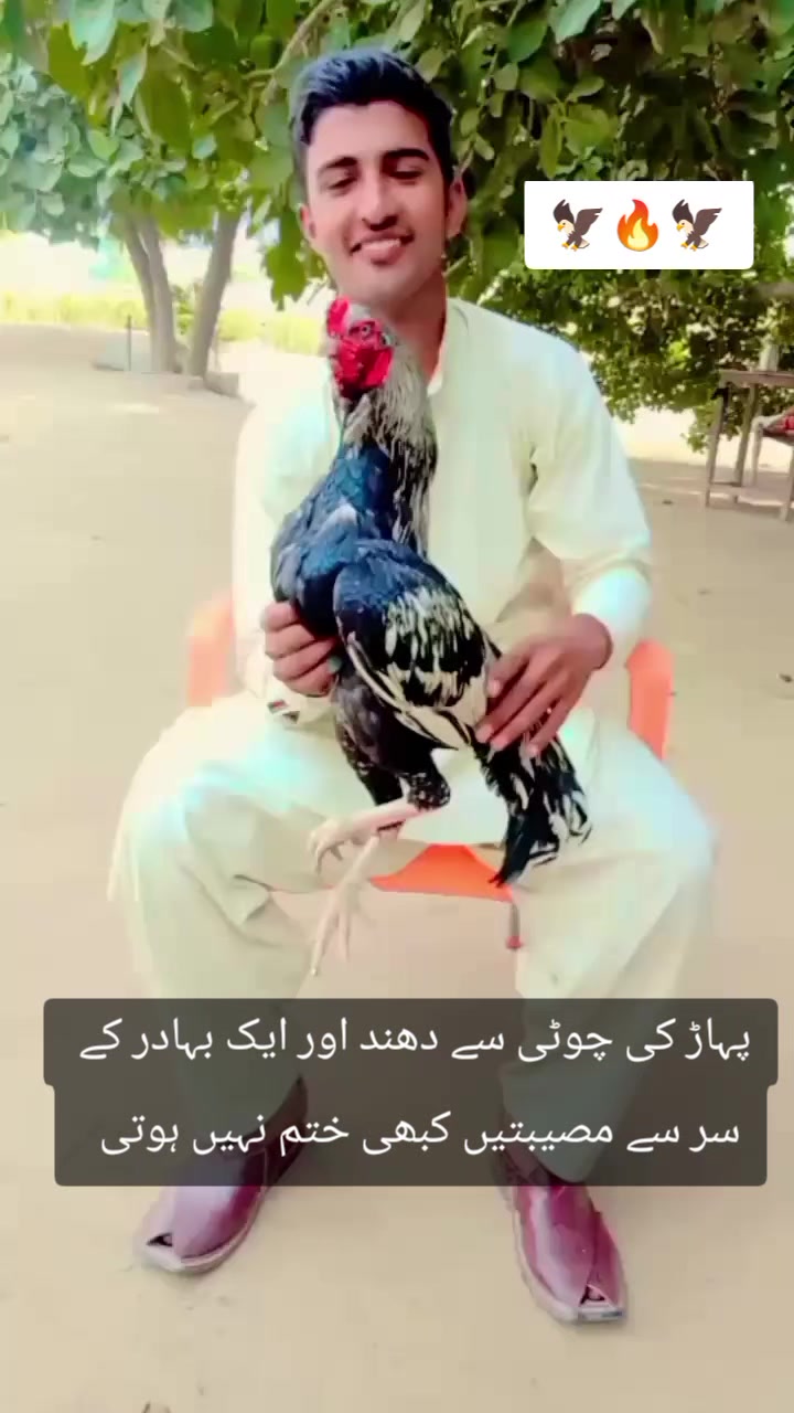 @kashifaseel2