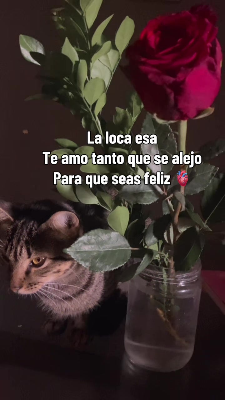 @Zzarahacosta